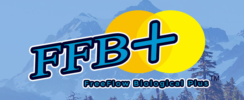 FFB Logo 1